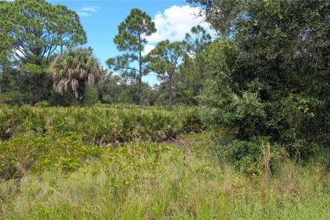 Land in Port Charlotte, Florida № 2375539 - photo 3