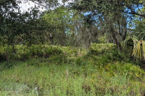 Land in Port Charlotte, Florida № 2375539