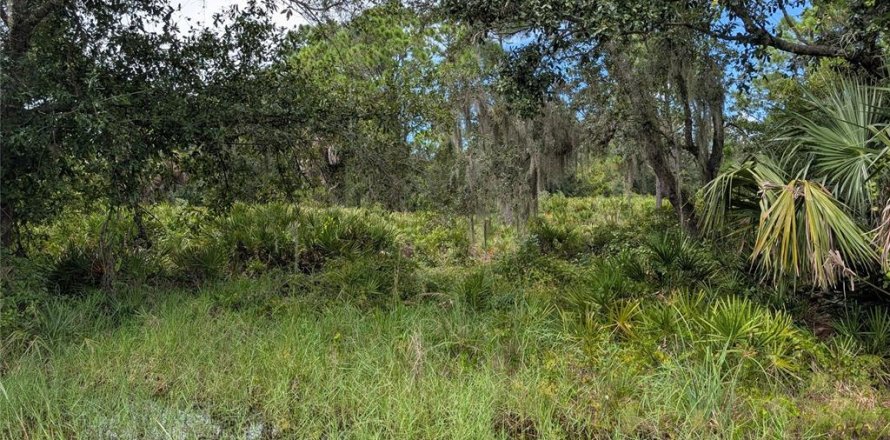 Land in Port Charlotte, Florida № 2375539