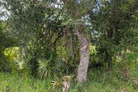 Land in Port Charlotte, Florida № 2375539 - photo 2