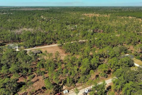 Land in Alva, Florida № 2221184 - photo 6