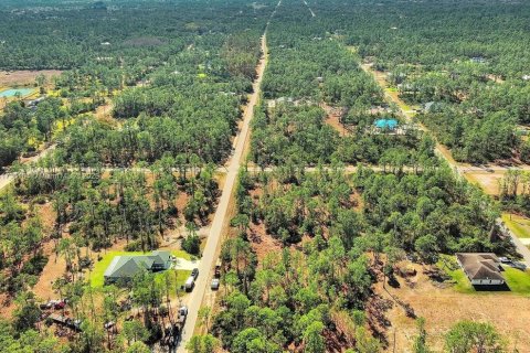 Land in Alva, Florida № 2221184 - photo 13