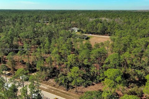 Land in Alva, Florida № 2221184 - photo 3
