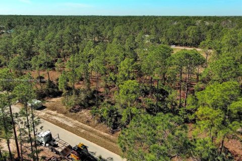 Land in Alva, Florida № 2221184 - photo 2
