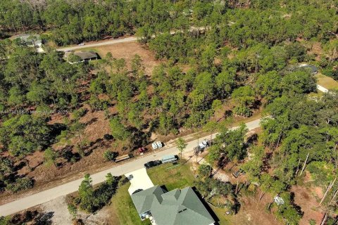 Land in Alva, Florida № 2221184 - photo 7
