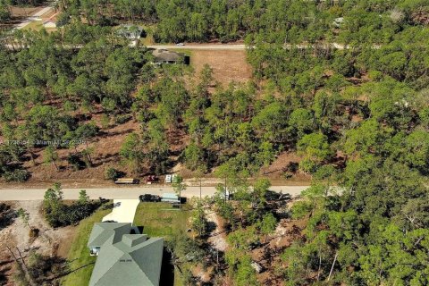 Land in Alva, Florida № 2221184 - photo 8