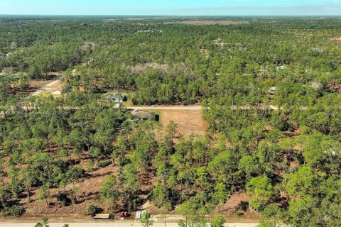 Land in Alva, Florida № 2221184 - photo 9