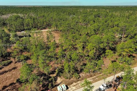 Land in Alva, Florida № 2221184 - photo 5