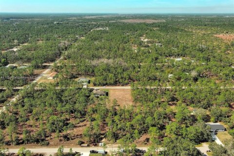 Land in Alva, Florida № 2221184 - photo 11