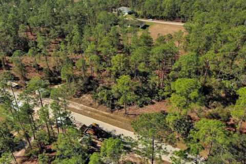 Land in Alva, Florida № 2221184 - photo 4