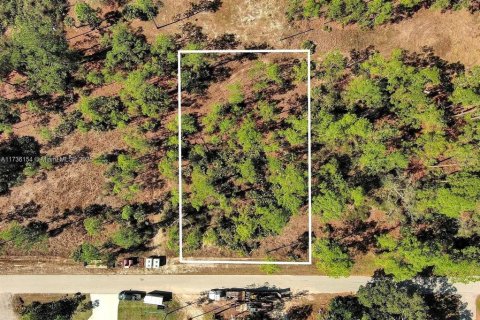 Land in Alva, Florida № 2221184