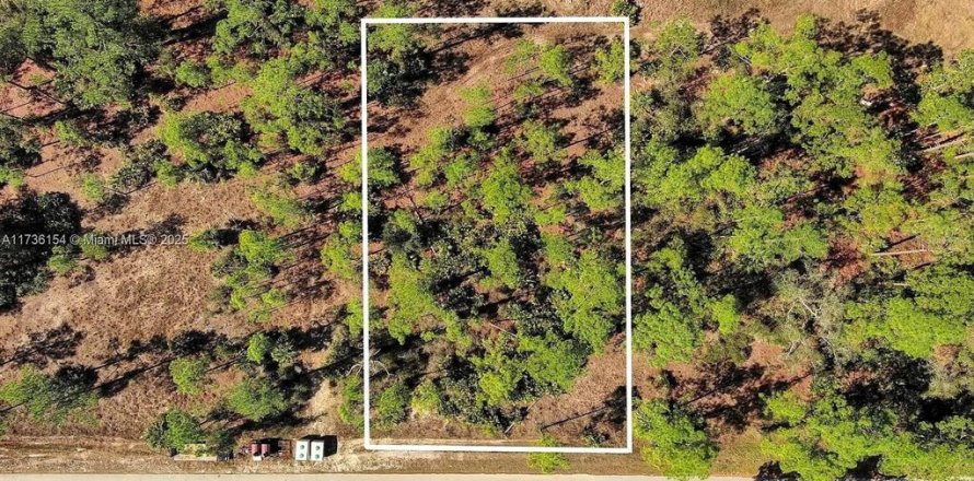 Land in Alva, Florida № 2221184