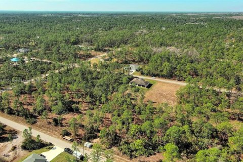 Land in Alva, Florida № 2221184 - photo 10