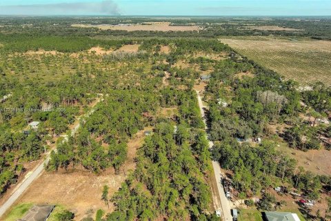 Land in Alva, Florida № 2221184 - photo 12
