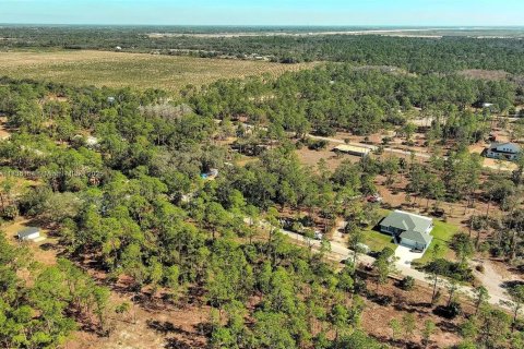 Land in Alva, Florida № 2221184 - photo 14