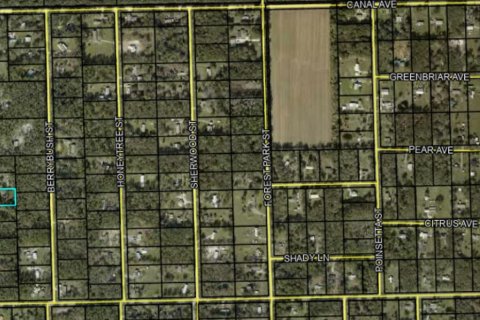 Land in Bunnell, Florida № 882153 - photo 1