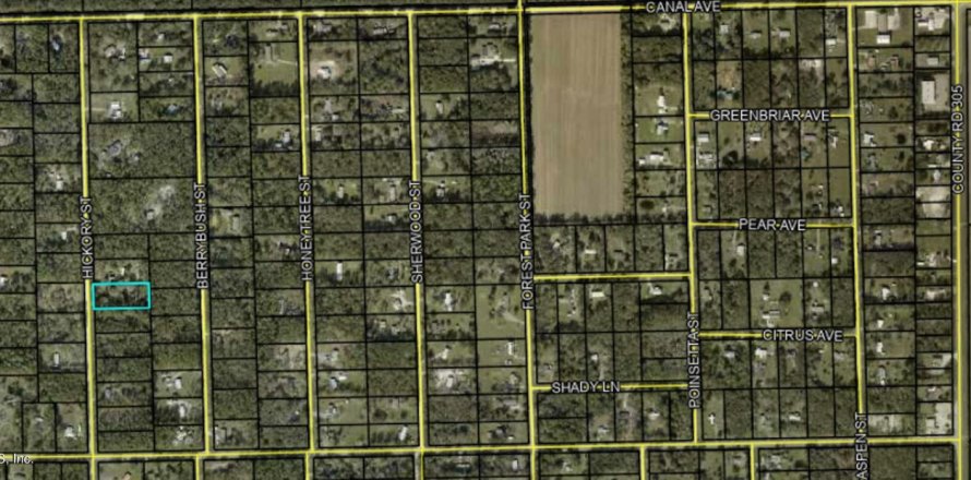 Land in Bunnell, Florida № 882153