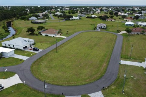 Land in Punta Gorda, Florida № 1906863 - photo 5