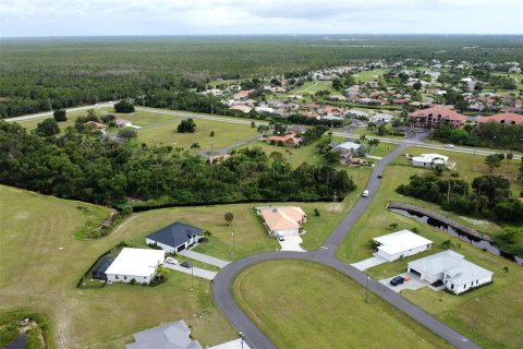 Land in Punta Gorda, Florida № 1906863 - photo 11
