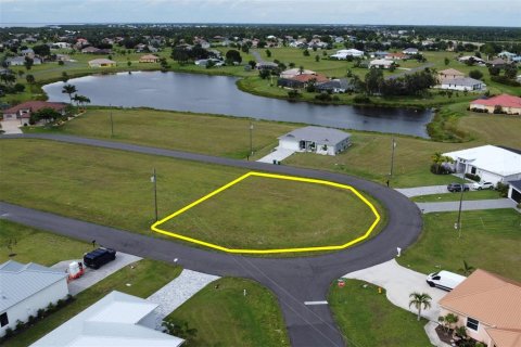 Land in Punta Gorda, Florida № 1906863 - photo 2