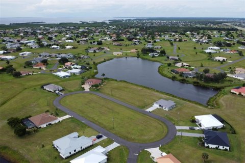 Land in Punta Gorda, Florida № 1906863 - photo 9