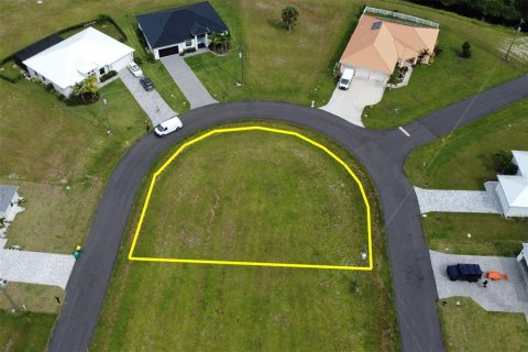 Land in Punta Gorda, Florida № 1906863 - photo 16