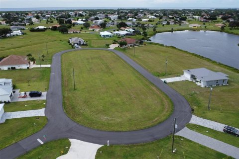 Land in Punta Gorda, Florida № 1906863 - photo 3