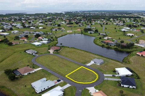 Land in Punta Gorda, Florida № 1906863 - photo 10
