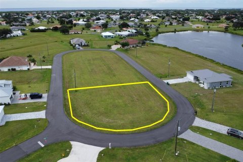 Land in Punta Gorda, Florida № 1906863 - photo 4
