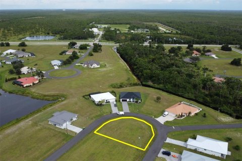 Land in Punta Gorda, Florida № 1906863 - photo 14