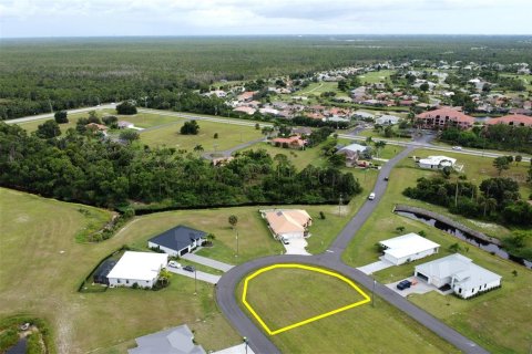 Land in Punta Gorda, Florida № 1906863 - photo 12
