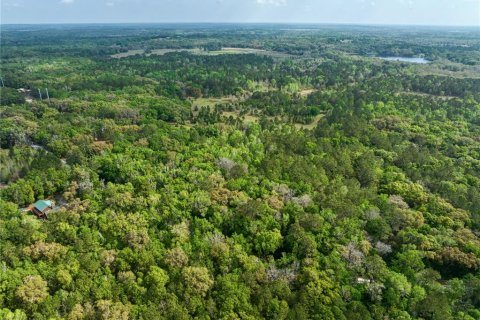 Купить земельный участок в Бруксвилл, Флорида № 2104347 - фото 16