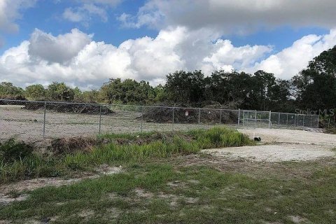 Terrain à vendre à Clewiston, Floride № 2165942 - photo 8