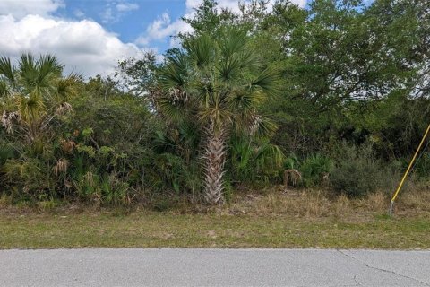 Land in Port Charlotte, Florida № 2342008 - photo 3