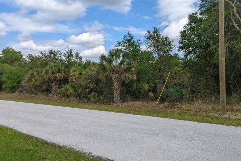 Land in Port Charlotte, Florida № 2342008 - photo 2
