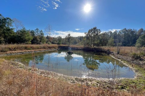 Casa en venta en De Funiak Springs, Florida, 3 dormitorios, 174.75 m2 № 561664 - foto 1