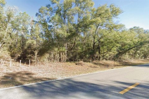 Land in Tallahassee, Florida № 2345631