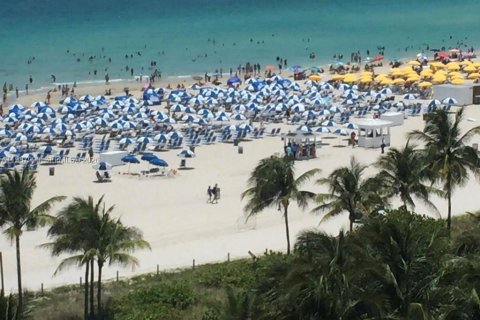 Copropriété à louer à Miami Beach, Floride: 49.7 m2 № 2154835 - photo 13