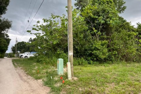 Land in Belleview, Florida № 2224048 - photo 4