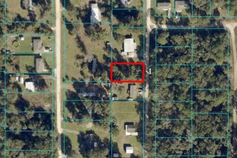 Land in Belleview, Florida № 2224048