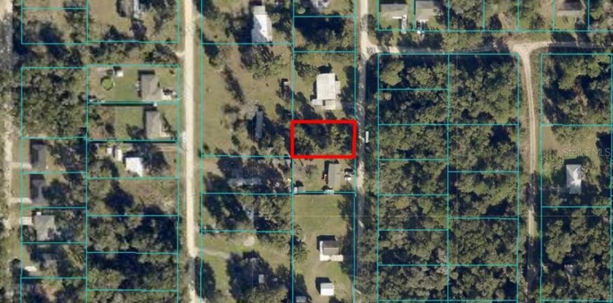 Land in Belleview, Florida № 2224048