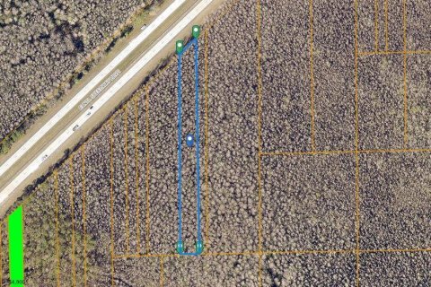 Land in DeLand, Florida № 1383158 - photo 1