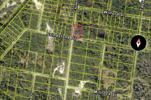 Land in Webster, Florida № 2160150