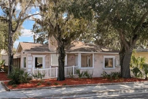 Immobilier commercial à Mulberry, Floride 78.04 m2 № 2105827