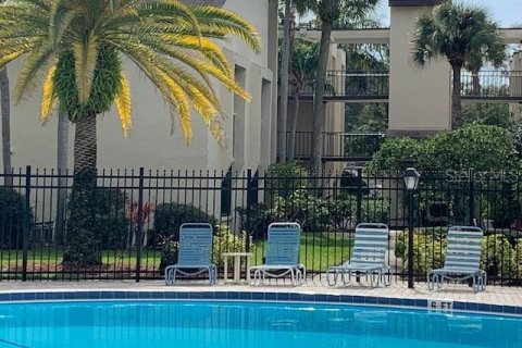 Studio à Condo à Clearwater, Floride  № 2410610