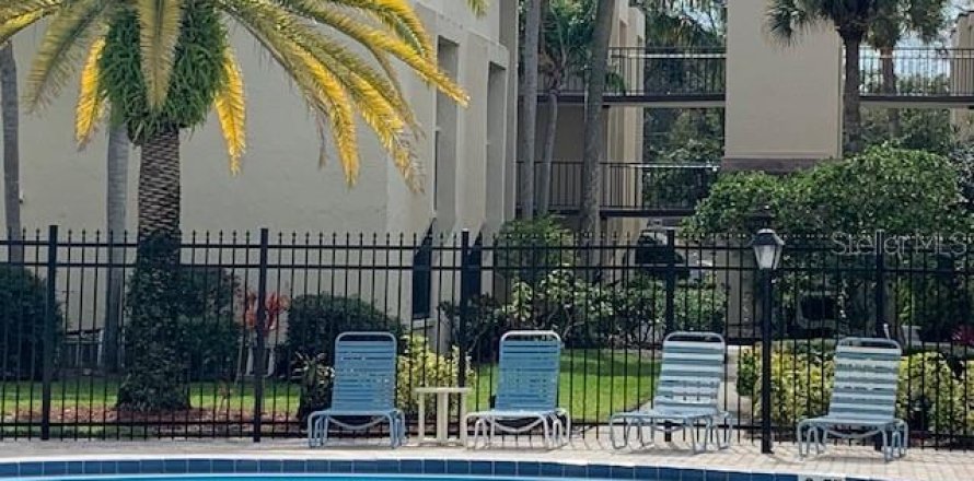 Studio à Condo à Clearwater, Floride  № 2410610