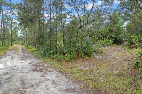 Terrain à vendre à Eustis, Floride № 1397293 - photo 5