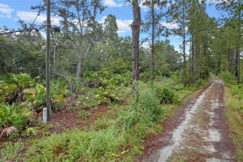 Terrain à vendre à Eustis, Floride № 1397293 - photo 6