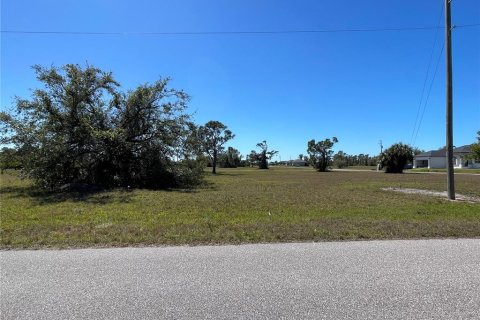 Land in Placida, Florida № 2232906