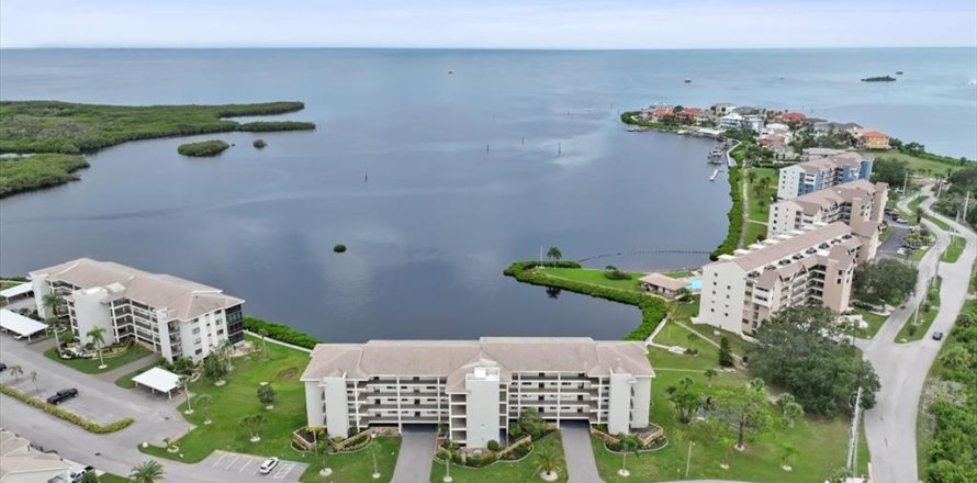 Condo in Port Richey, Florida, 2 bedrooms  № 1902162